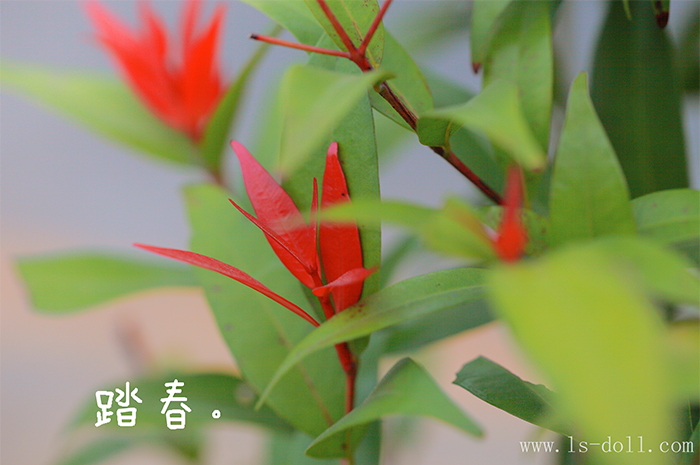 BJD SD 人偶 娃娃 BJD古风 BJD三分